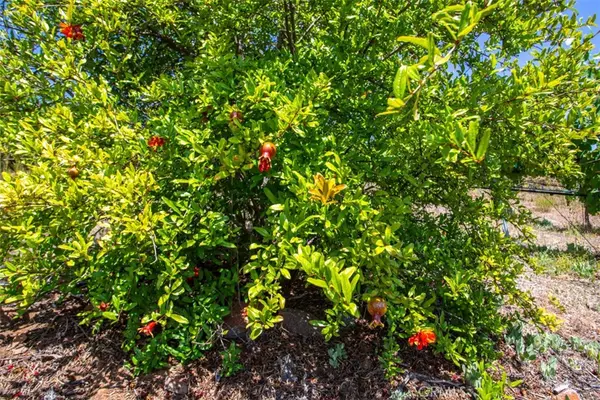 Murrieta, CA 92562,0 Via Herradura