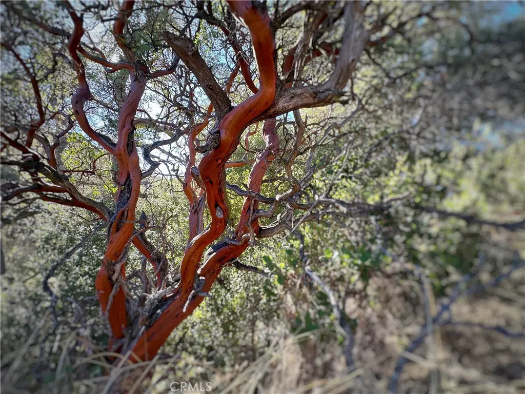 Warner Springs, CA 92086,28618 Chihuahua Valley RD