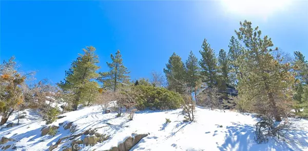 Running Springs, CA 92382,0 Hilltop BLVD