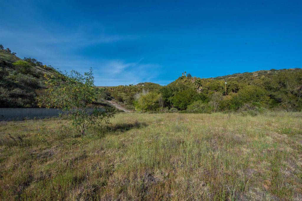 Fallbrook, CA 92028,4150 Calle Canonero