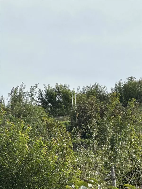 Temecula, CA 92590,11 Avenida Hierba