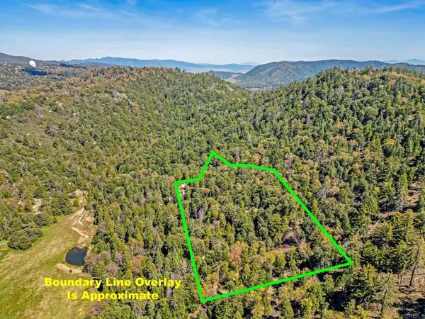 Palomar Mountain, CA 92060,14 +/- Acres Palomar Divide Truck TRL