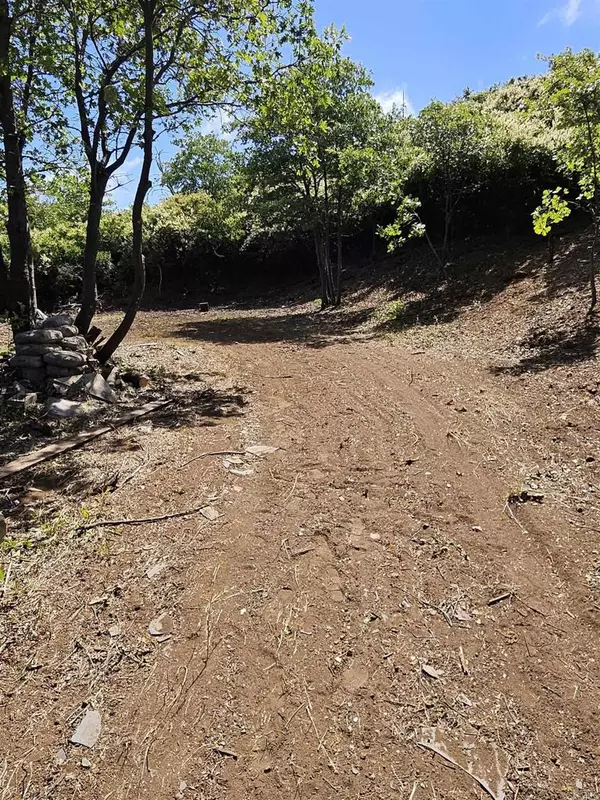 Julian, CA 92036,5212 Acorn Patch RD