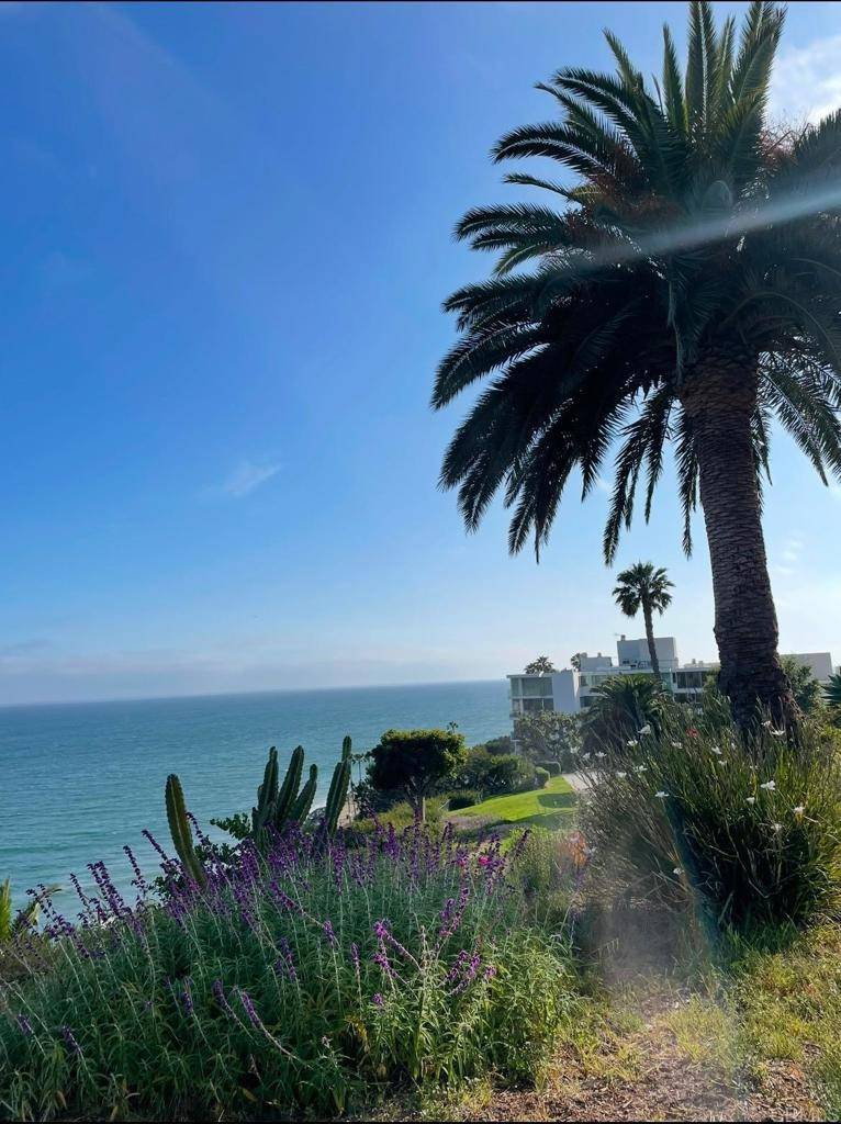 Pacific Palisades, CA 90272,17352 W Sunset BLVD #D204