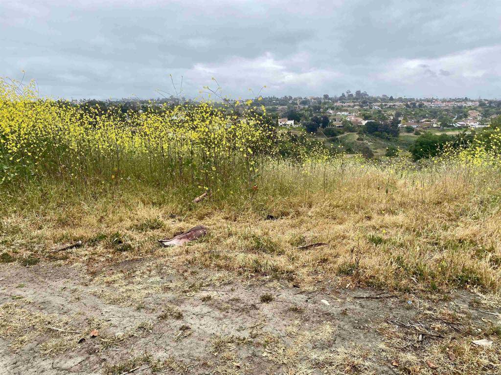 Oceanside, CA 92056,0 Oceanview Road