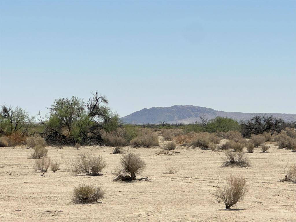 Borrego Springs, CA 92004,0 Palm Canyon DR