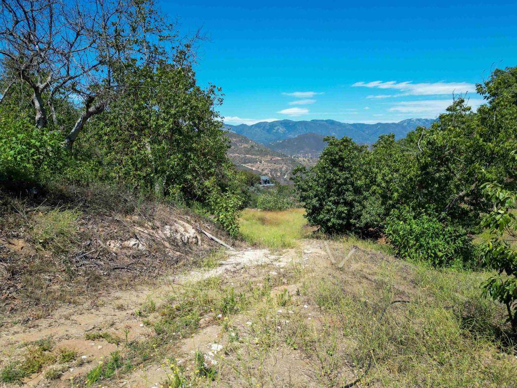 Fallbrook, CA 92028,Rainbow Crest RD