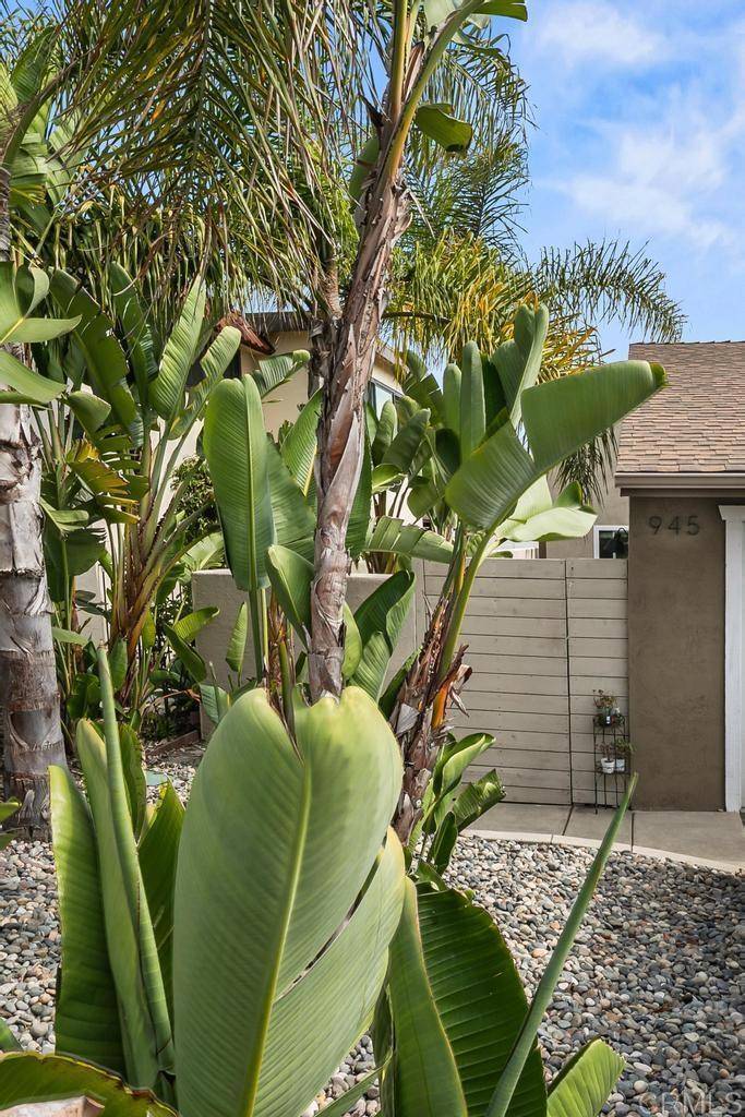 Encinitas, CA 92024,943 45 Windy Hill