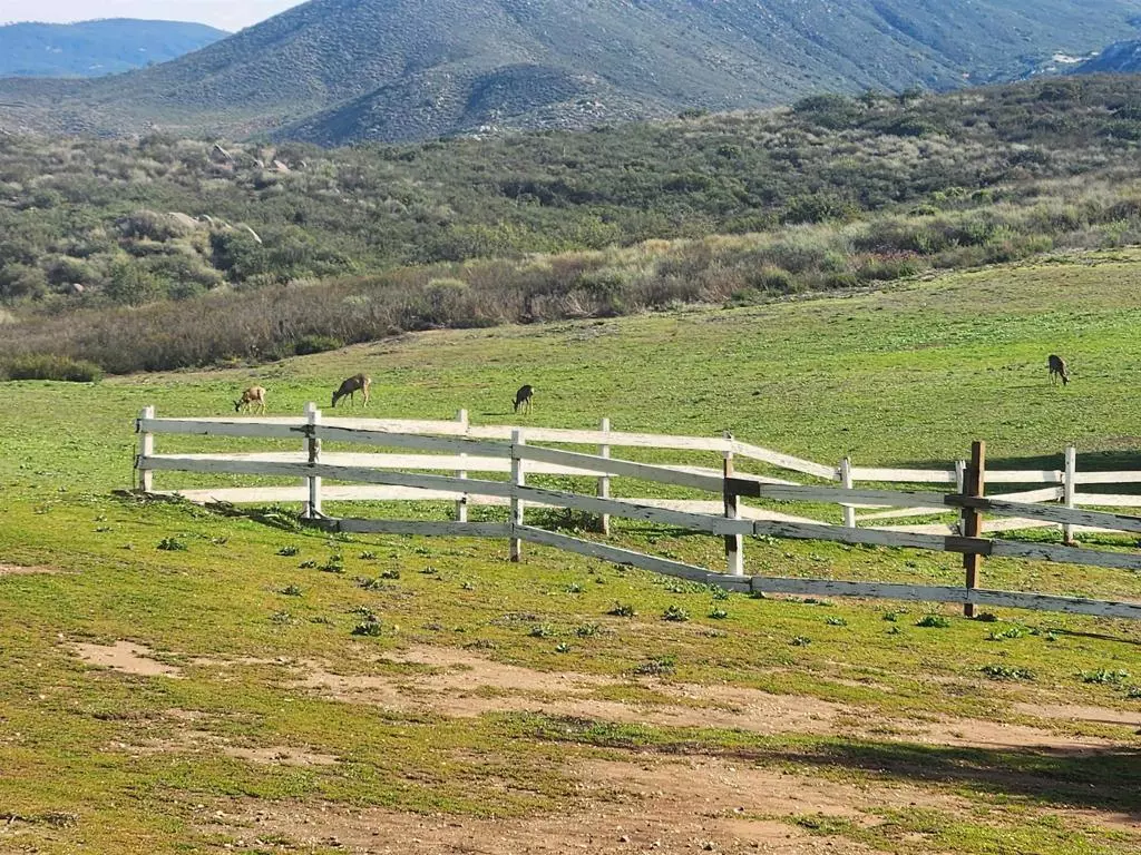 Ramona, CA 92065,23003 Arjo LN