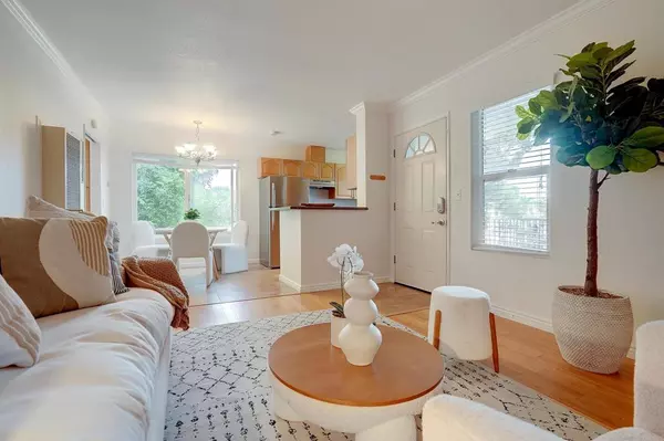 San Diego, CA 92109,911 Missouri ST #8
