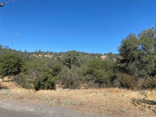 Coarsegold, CA 93614,8 Tioga DR