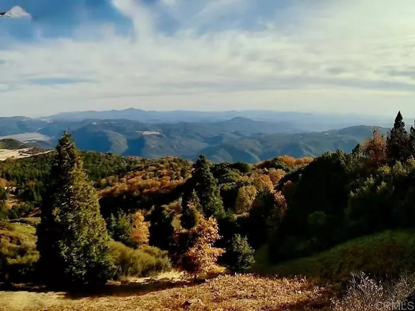 Palomar Mountain, CA 92060,32771 Birch Hill RD