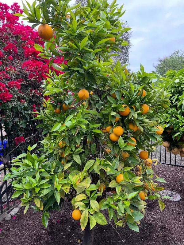 Oceanside, CA 92056,2070 Tiffany DR