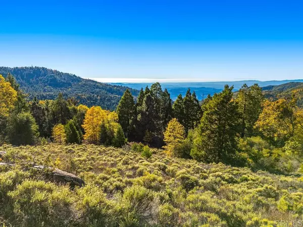 0 State Park RD, Palomar Mountain, CA 92060