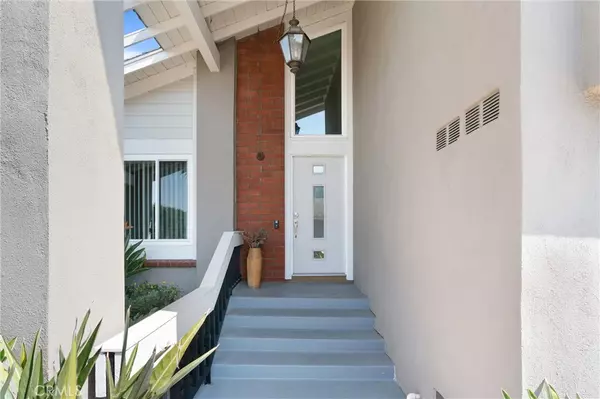 Irvine, CA 92604,1 Tortoise Shell