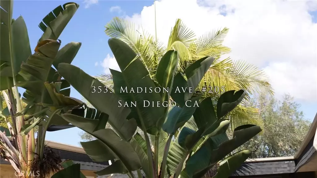 3535 Madison Ave unit #205, San Diego, CA 92116
