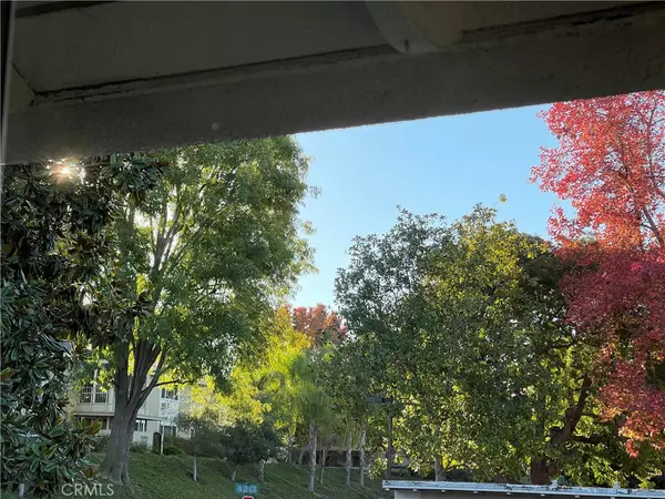 Laguna Woods, CA 92637,662 Via Los Altos #P