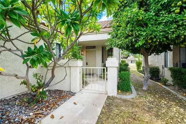 Palm Desert, CA 92211,41351 Kansas ST