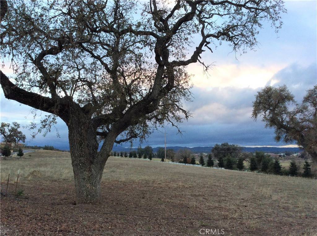 Templeton, CA 93465,1320 Lot 9 Fire Rock Loop