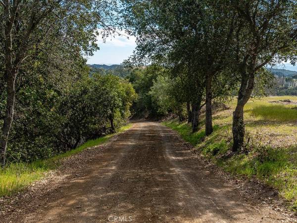 Paso Robles, CA 93446,0 Loose Horse LN