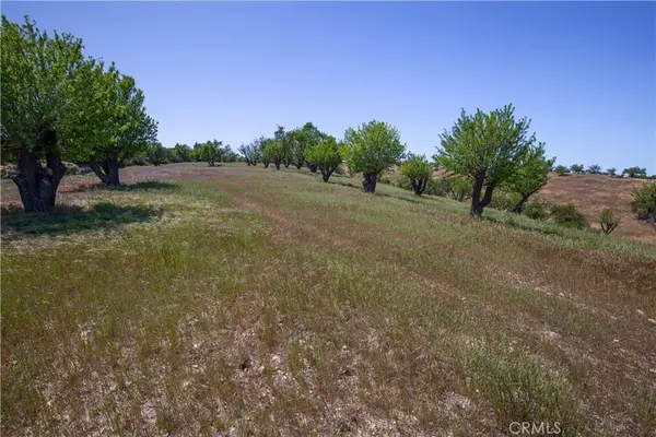 Paso Robles, CA 93446,0 Sky Ridge DR