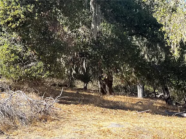 Paso Robles, CA 93446,9960 Bluegill DR