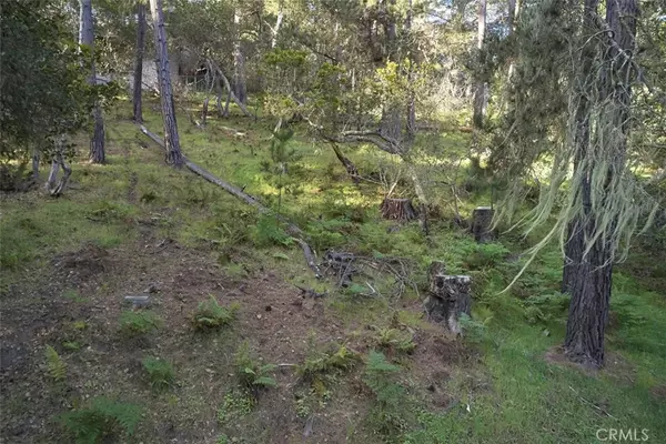 0 Langton ST, Cambria, CA 93428