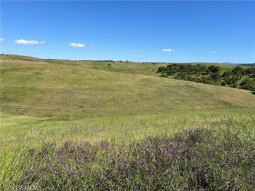 Paso Robles, CA 93446,0 Unnamed RD