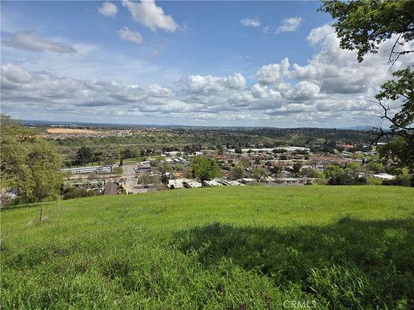 Paso Robles, CA 93446,436 Calle Alto ST
