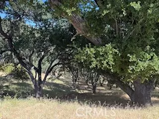 Lake Nacimiento, CA 93426,2172 Ridge Rider RD