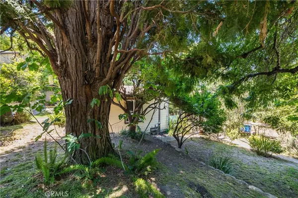 Echo Park, CA 90026,1464 Avon