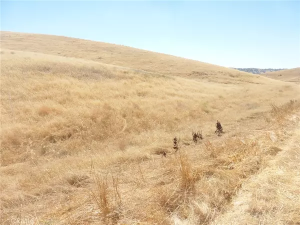 San Miguel, CA 93451,0 Douglas Rd. (Lot 42)