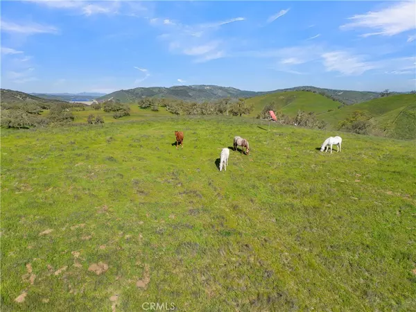 Paso Robles, CA 93426,12000 Nacimiento Lake