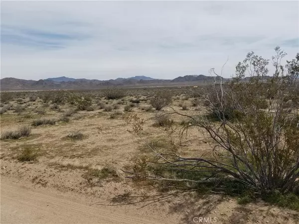 Lucerne Valley, CA 92635,34558 Cattleman