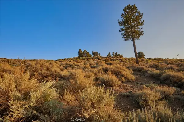 Big Bear, CA 92314,0 Rustic Canyon RD