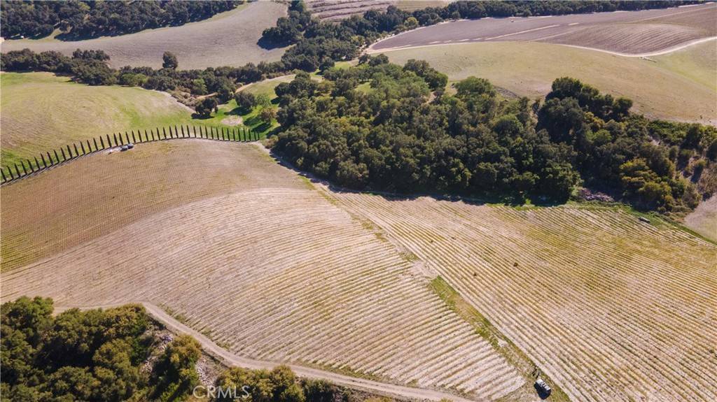 2380 Live Oak RD, Paso Robles, CA 93446