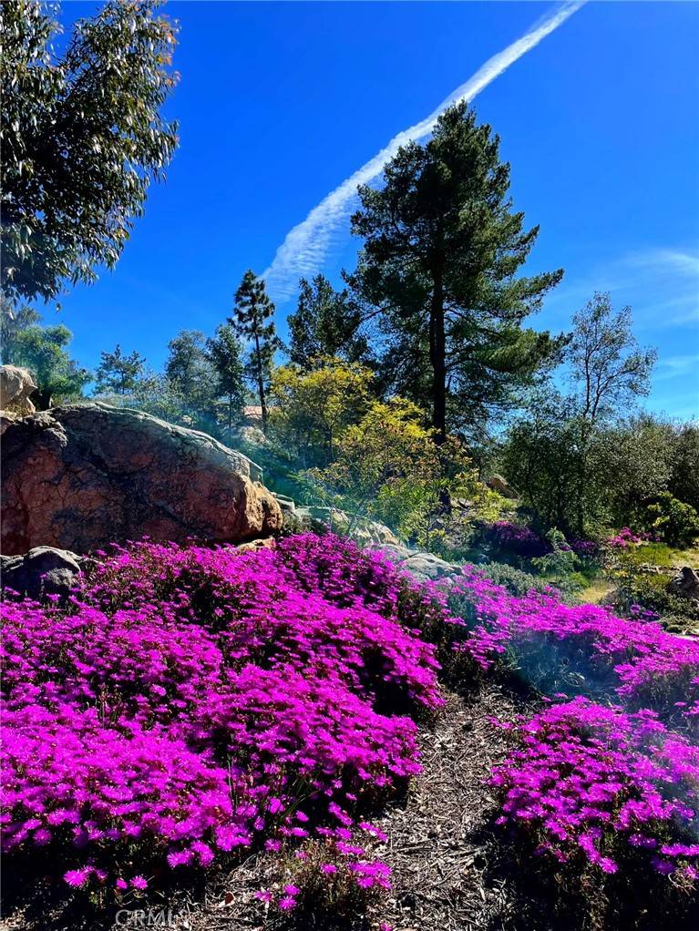Rainbow, CA 92028,6435 Rainbow Heights RD