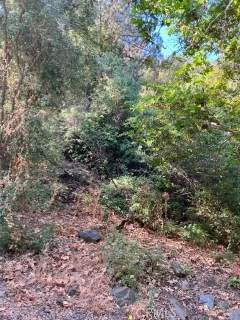 Silverado Canyon, CA 92676,30752 Silverado Canyon Rd