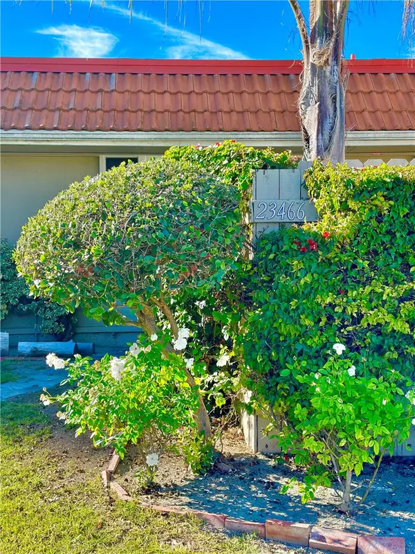 Aliso Viejo, CA 92656,23466 Los Adornos