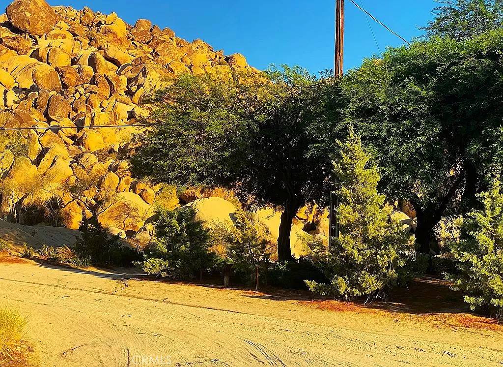 Joshua Tree, CA 92252,66058 Foothill DR