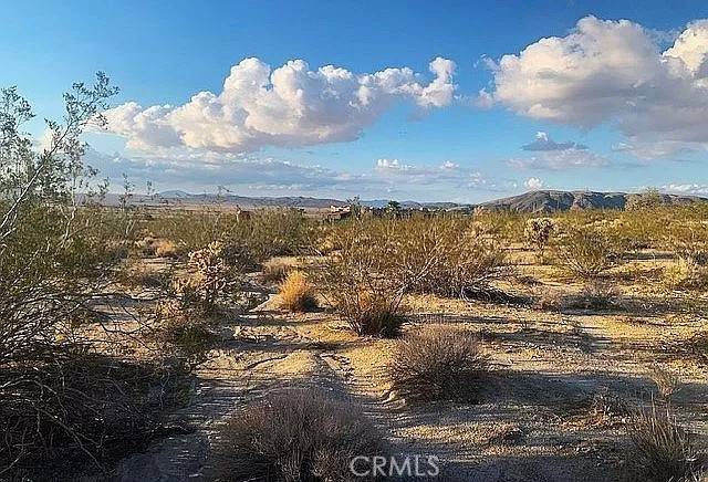 Joshua Tree, CA 92252,66058 Foothill DR