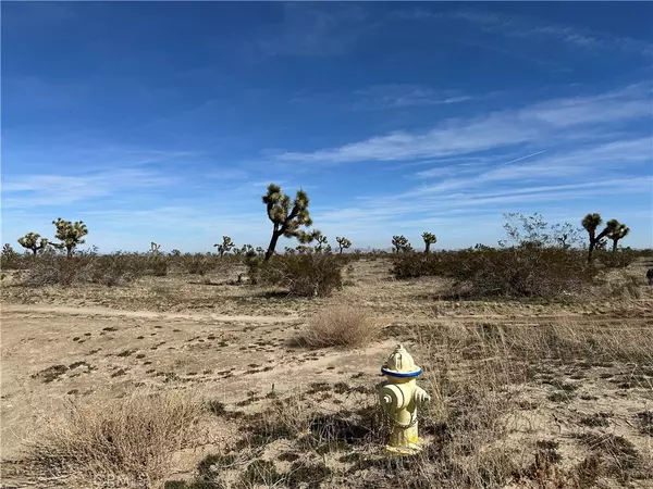 Phelan, CA 92371,0 Lager RD