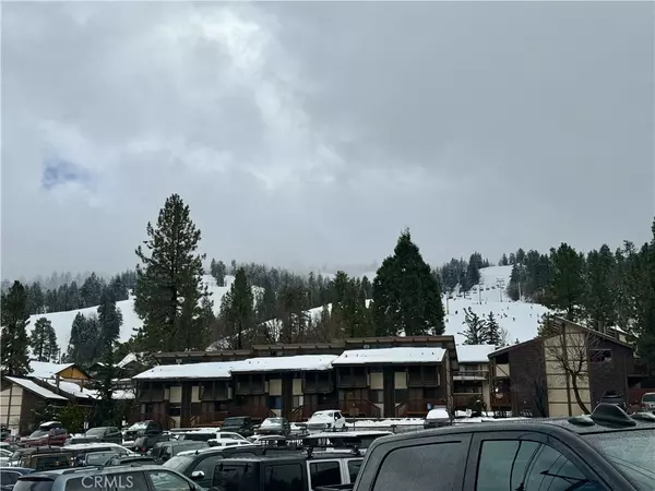 Big Bear Lake, CA 92315,41763 Switzerland DR