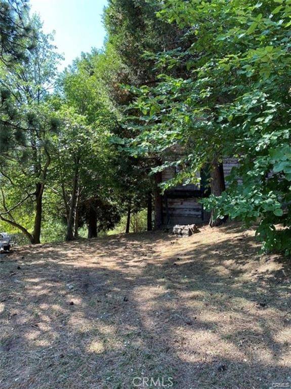 0 Pine DR, Cedarpines Park, CA 92322