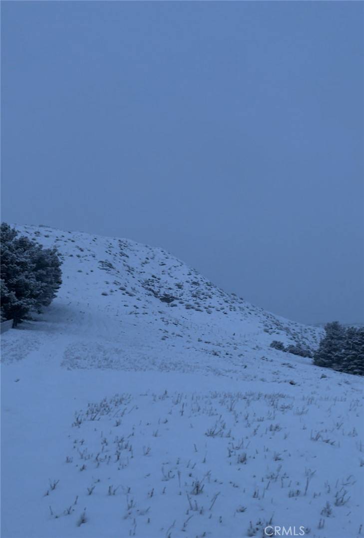 Leona Valley, CA 93551,9197 Northside DR