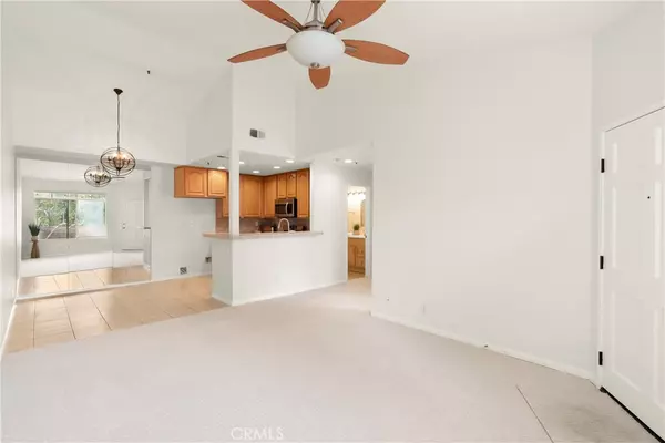 Aliso Viejo, CA 92656,19 Cinnamon Teal