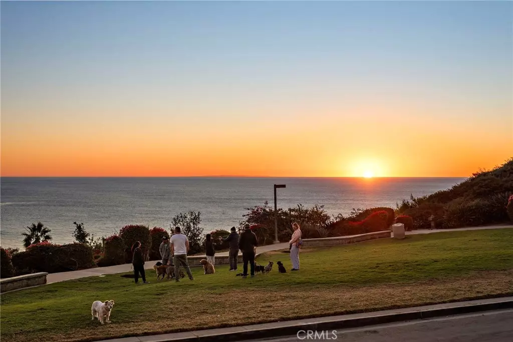 San Clemente, CA 92672,250 Avenida Lobeiro #D