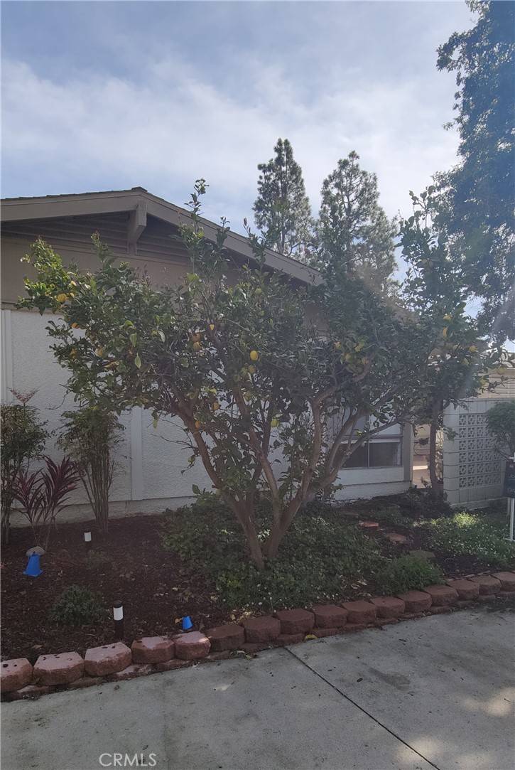 Laguna Woods, CA 92637,471 Calle Cadiz #G