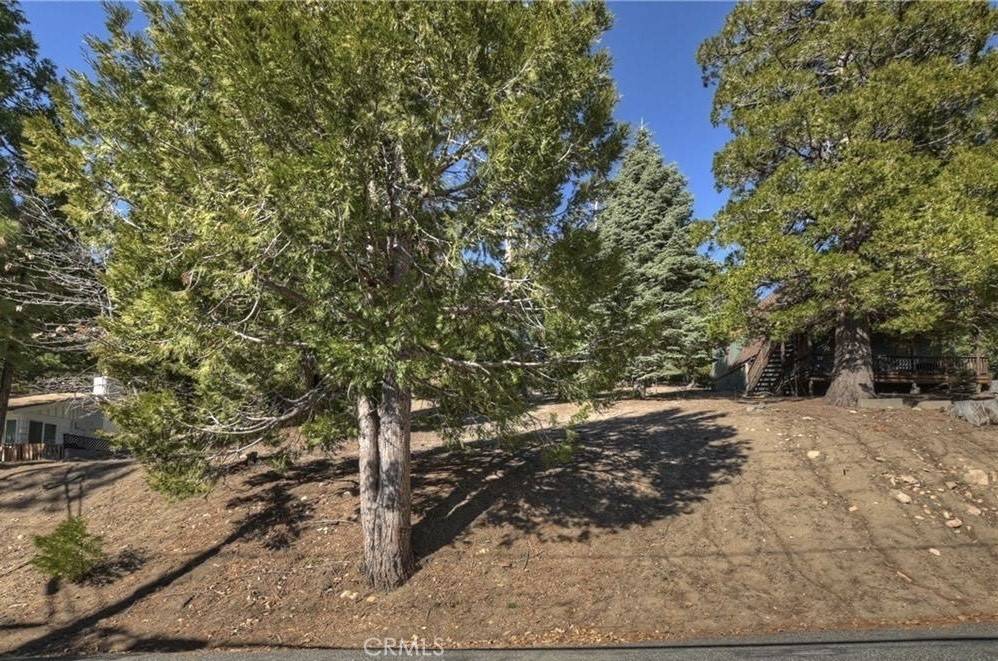 Running Springs, CA 92382,2402 Spring Oak DR