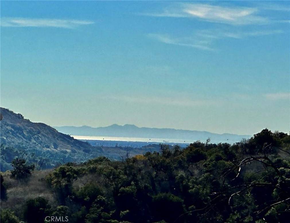 Diamond Bar, CA 91765,2695 Shady Ridge LN